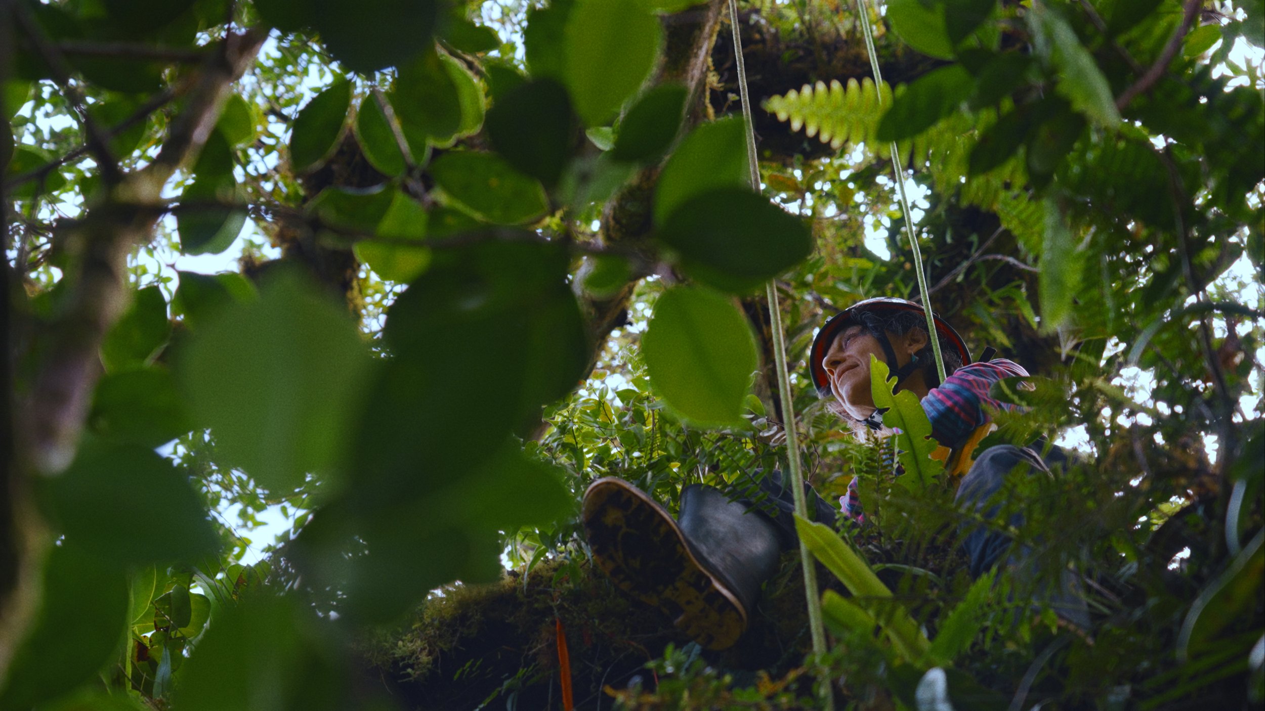 幻灯片-咕咕的工具箱