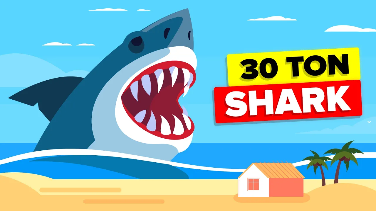 （带文本）巨齿鲨灭绝的真正原因是什么-咕咕的工具箱