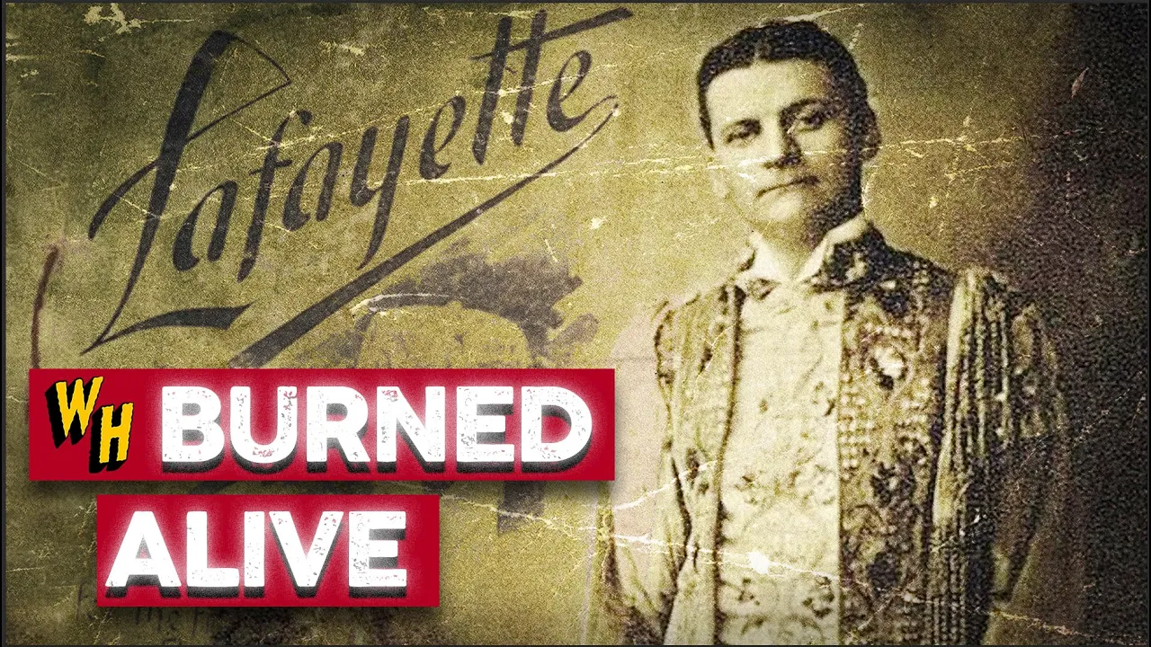 （带文本）悲剧性的魔术，适得其反-咕咕的工具箱