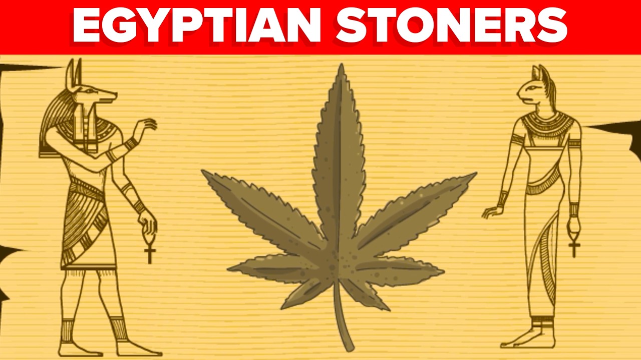 木乃伊可卡因检测呈阳性，更多古埃及毒品被发现-咕咕的工具箱