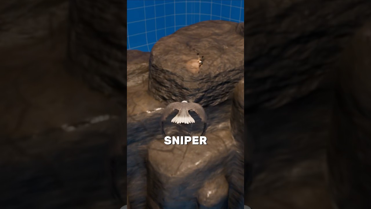 老鹰为何袭击苏联狙击手？-咕咕的工具箱