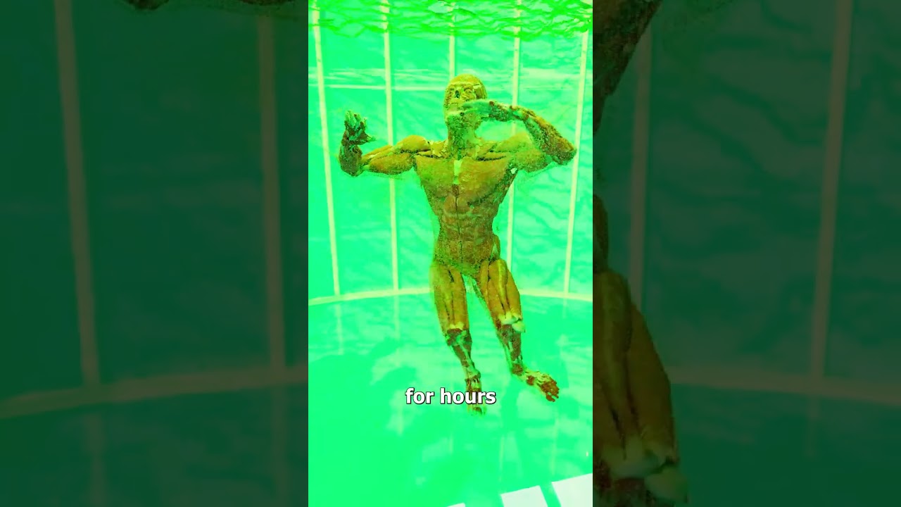 跳进胃酸池里？-咕咕的工具箱