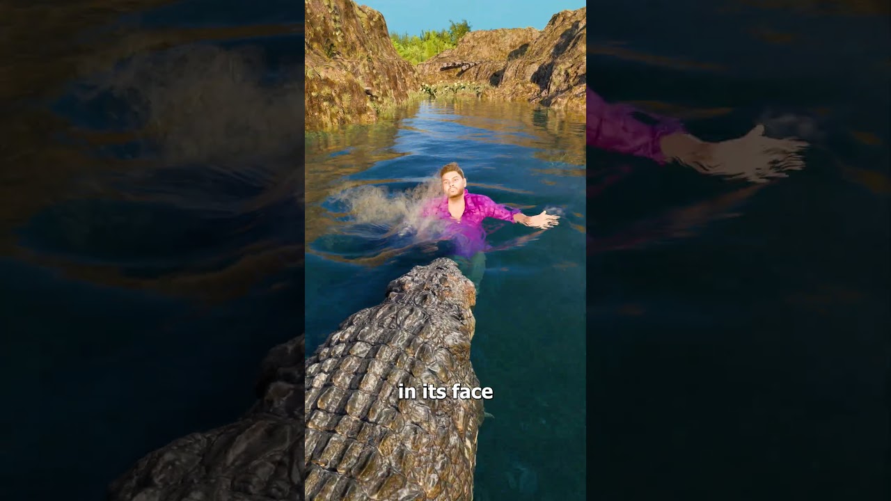 如何在鳄鱼池中生存-咕咕的工具箱