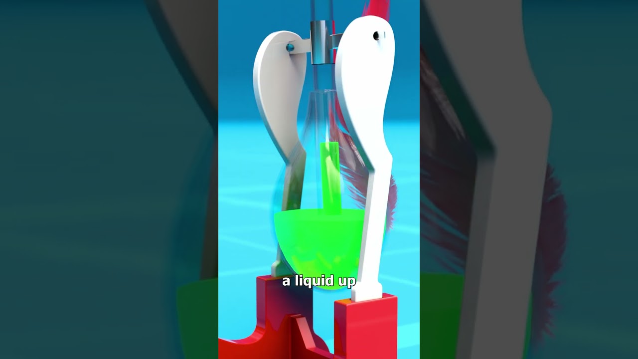 饮水鸟的工作原理-咕咕的工具箱