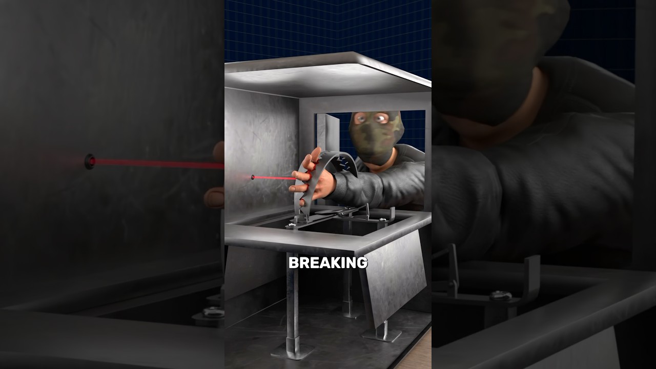 装有捕熊夹的保险箱-咕咕的工具箱