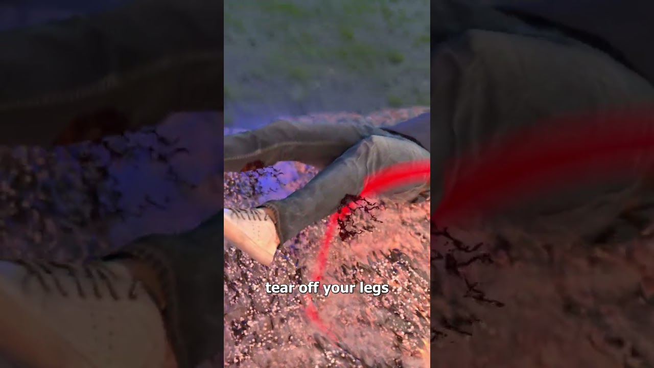 多少个枕头才能躲过地雷袭击？-咕咕的工具箱