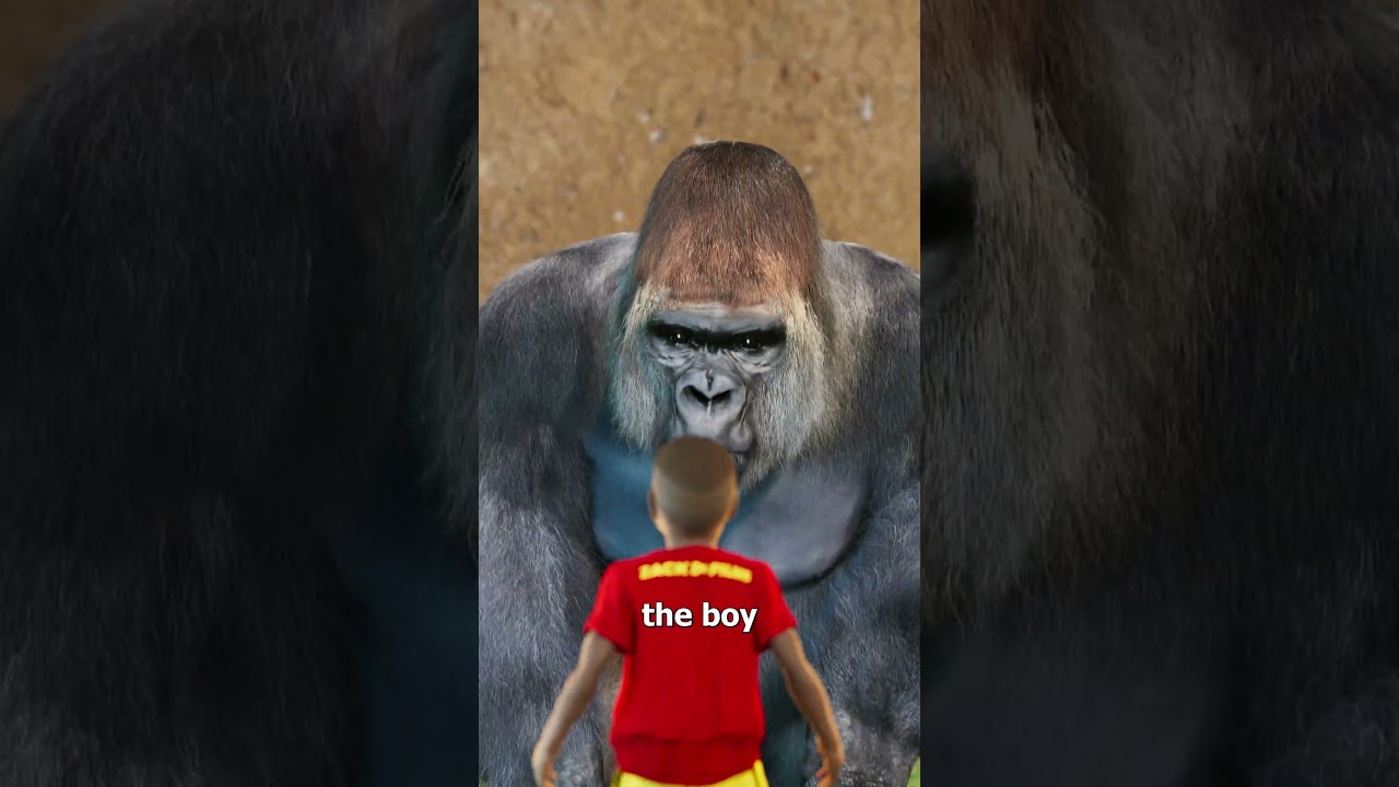 哈兰贝的故事-咕咕的工具箱