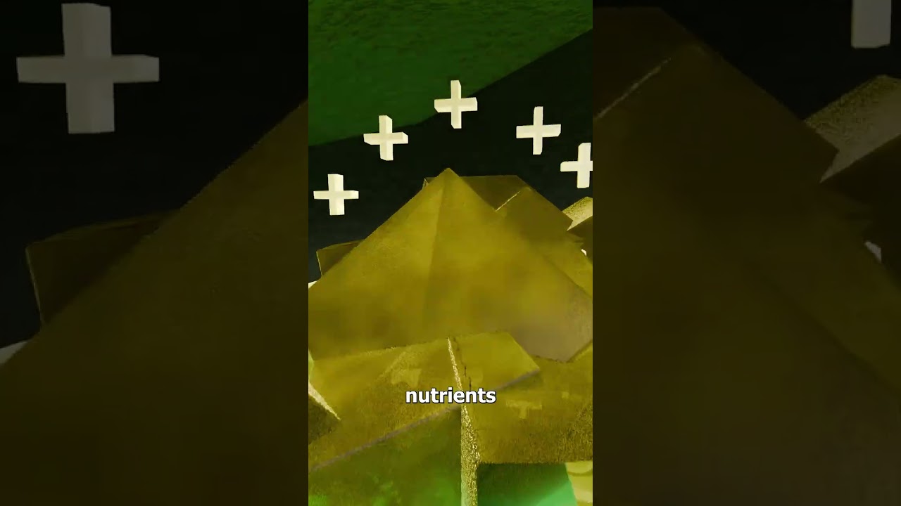 你会喝蟑螂奶吗？-咕咕的工具箱