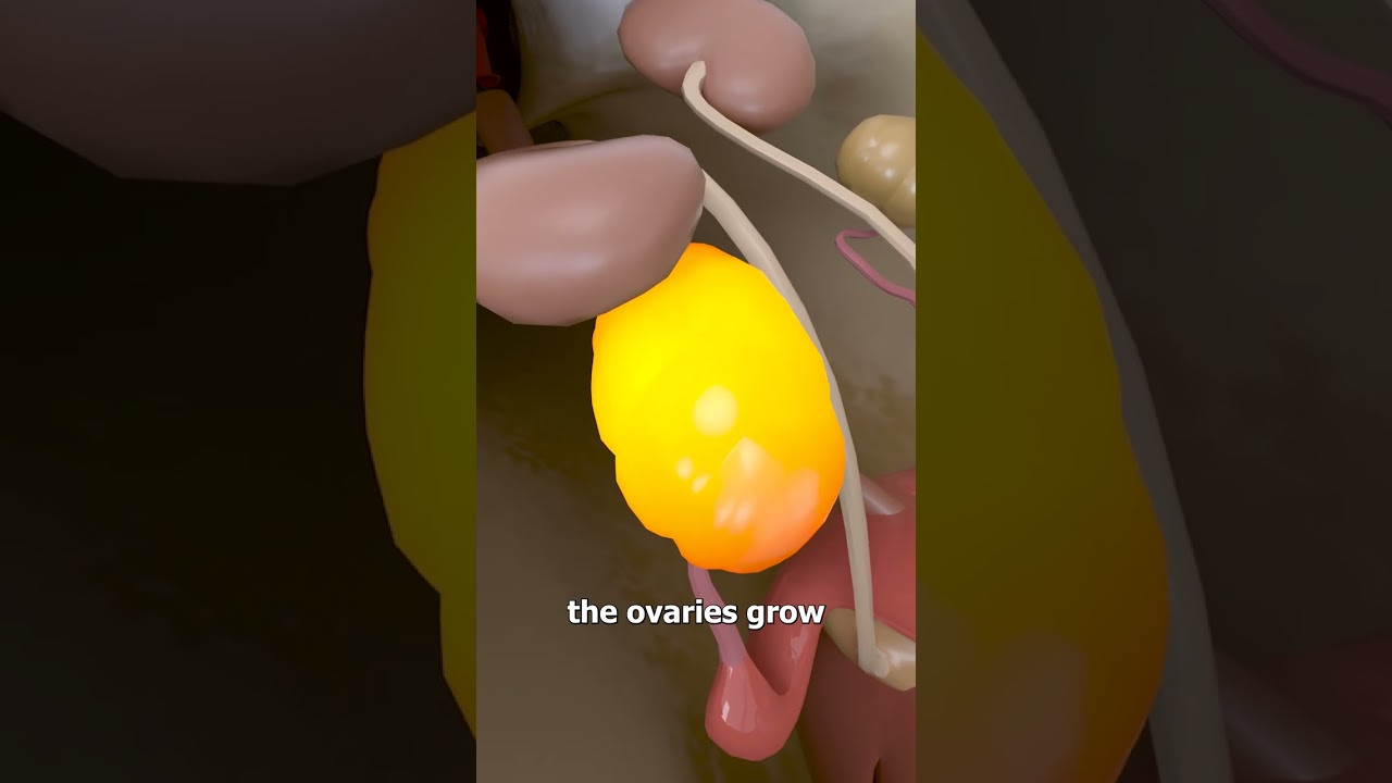 他们把女人的尿液注射进青蛙体内-咕咕的工具箱