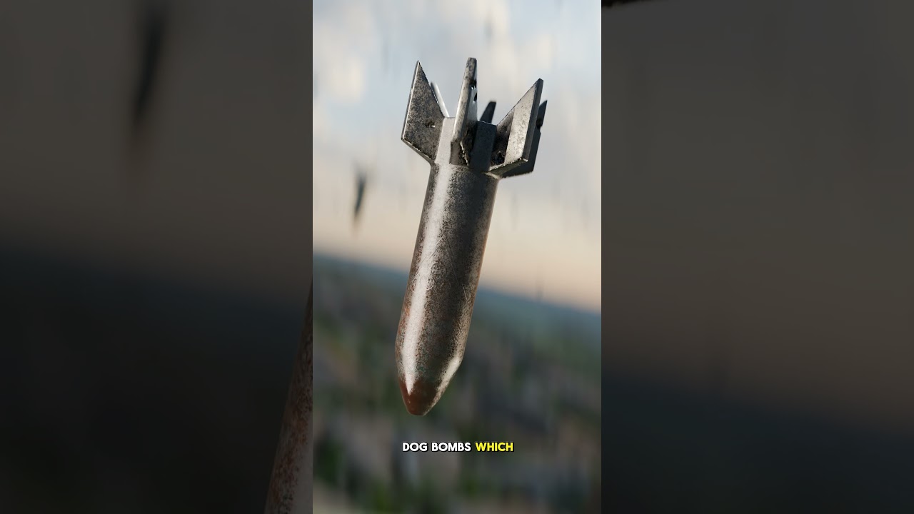 狼狗炸弹是什么？-咕咕的工具箱