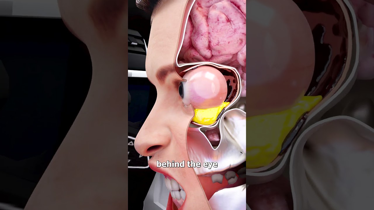 在车祸中失去双眼-咕咕的工具箱