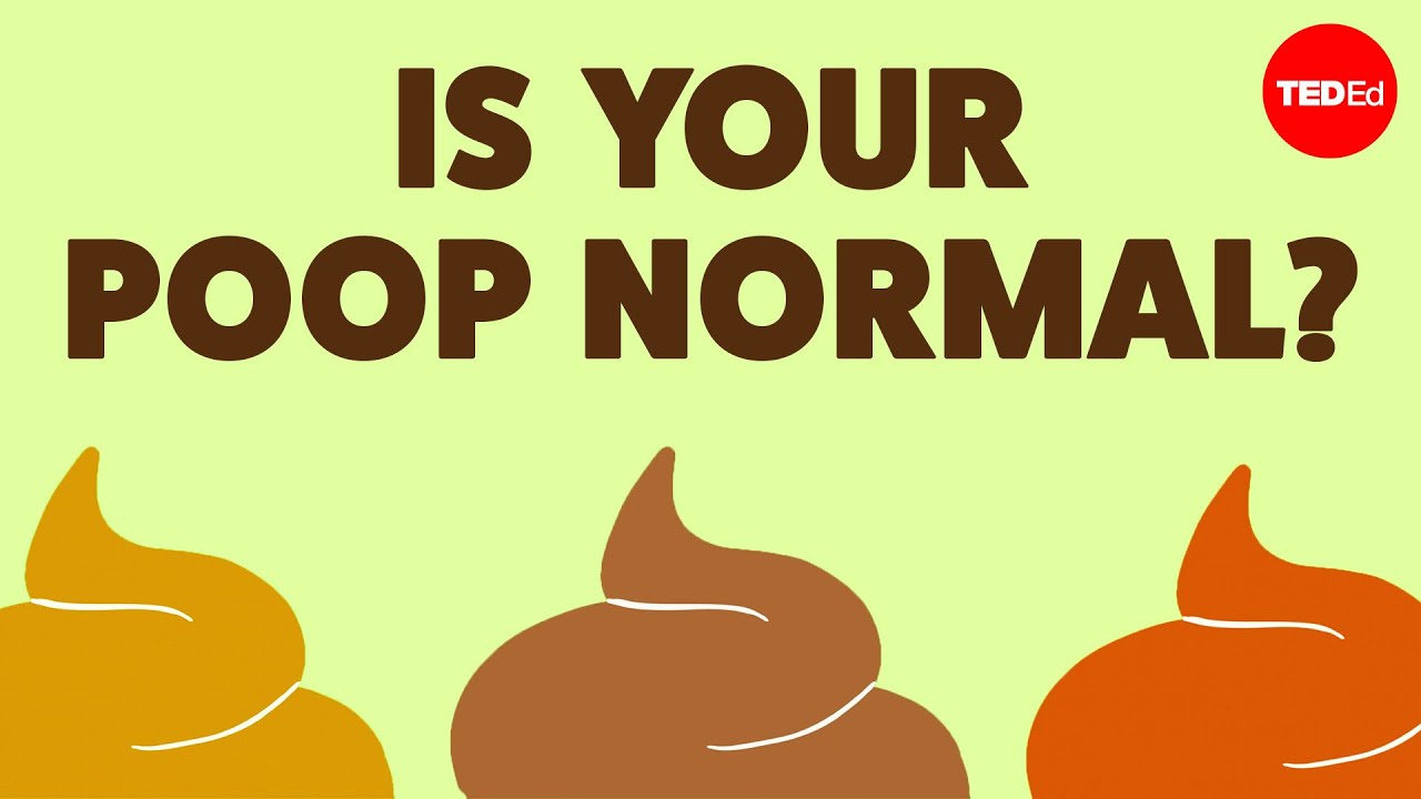 你的粪便能透露你的健康状况-咕咕的工具箱