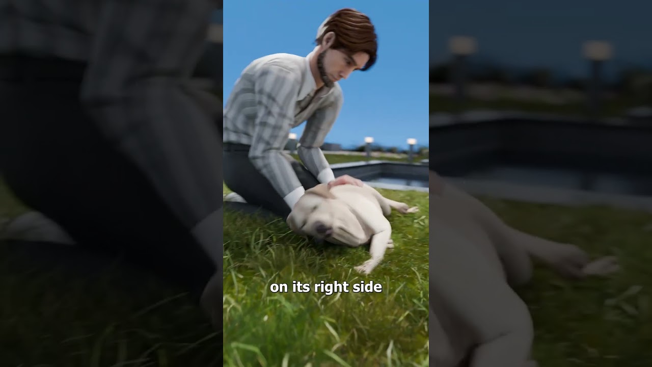 如何对狗狗进行心肺复苏术-咕咕的工具箱