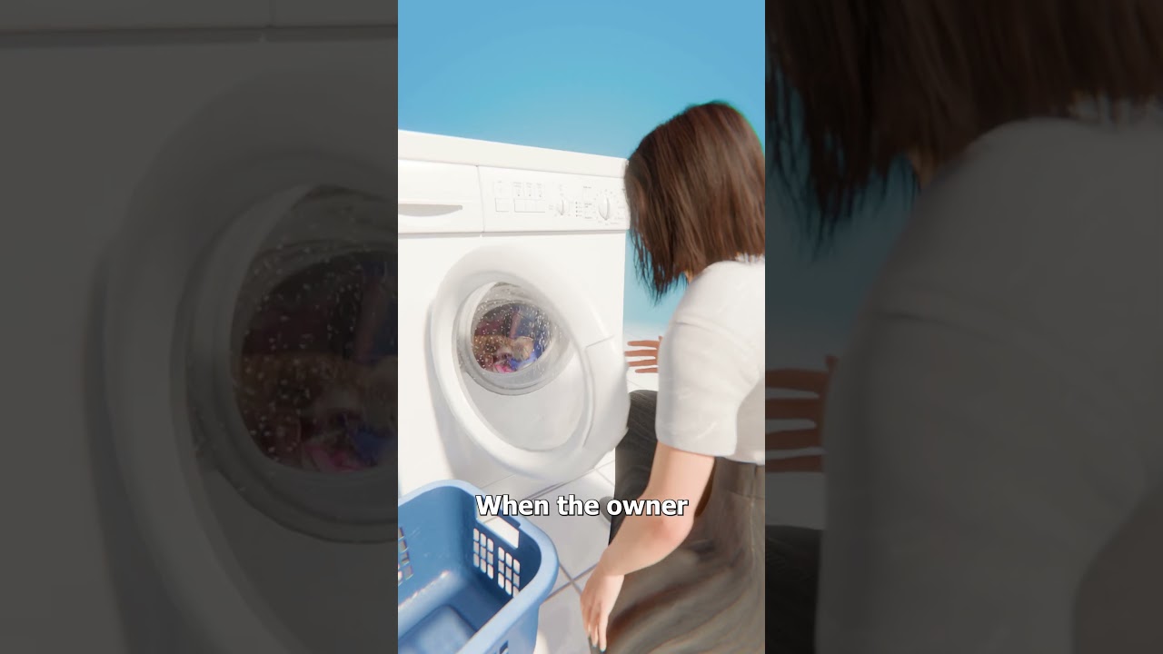 猫在洗衣机洗涤过程中幸存下来-咕咕的工具箱