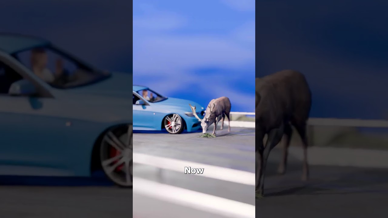 永远不要因为鹿而转向-咕咕的工具箱