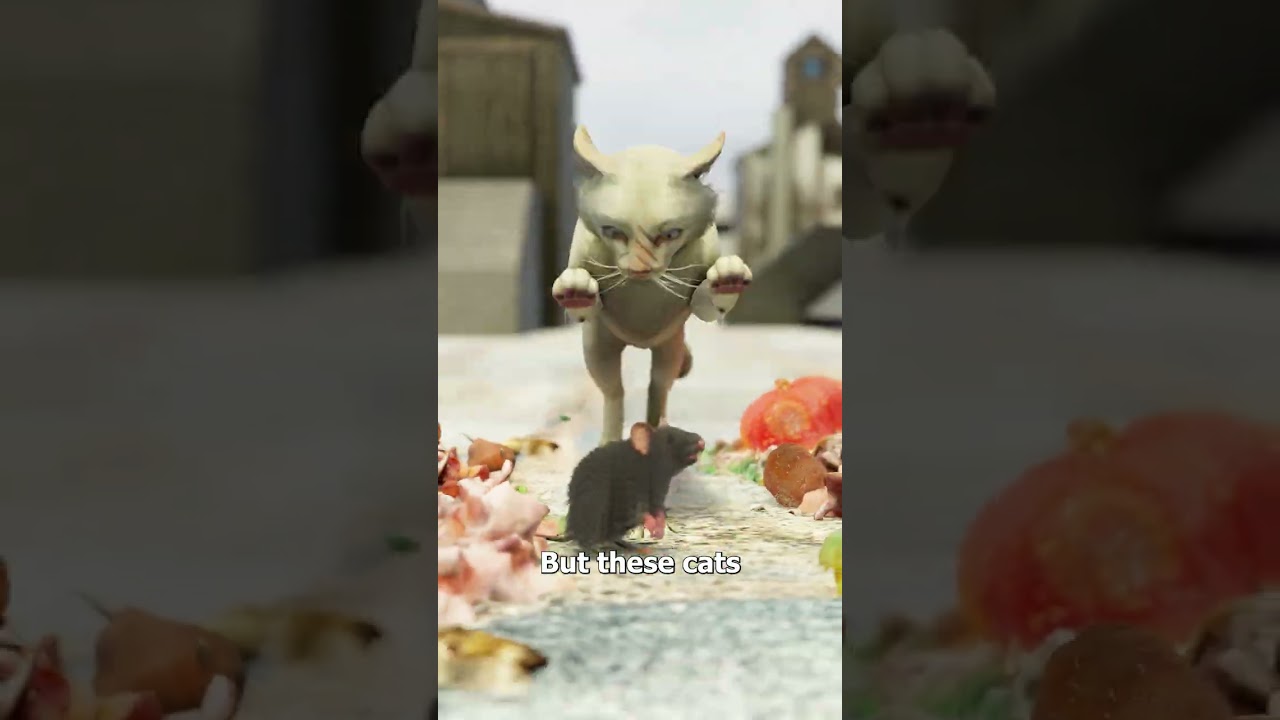 教皇格里高利九世对猫的战争-咕咕的工具箱