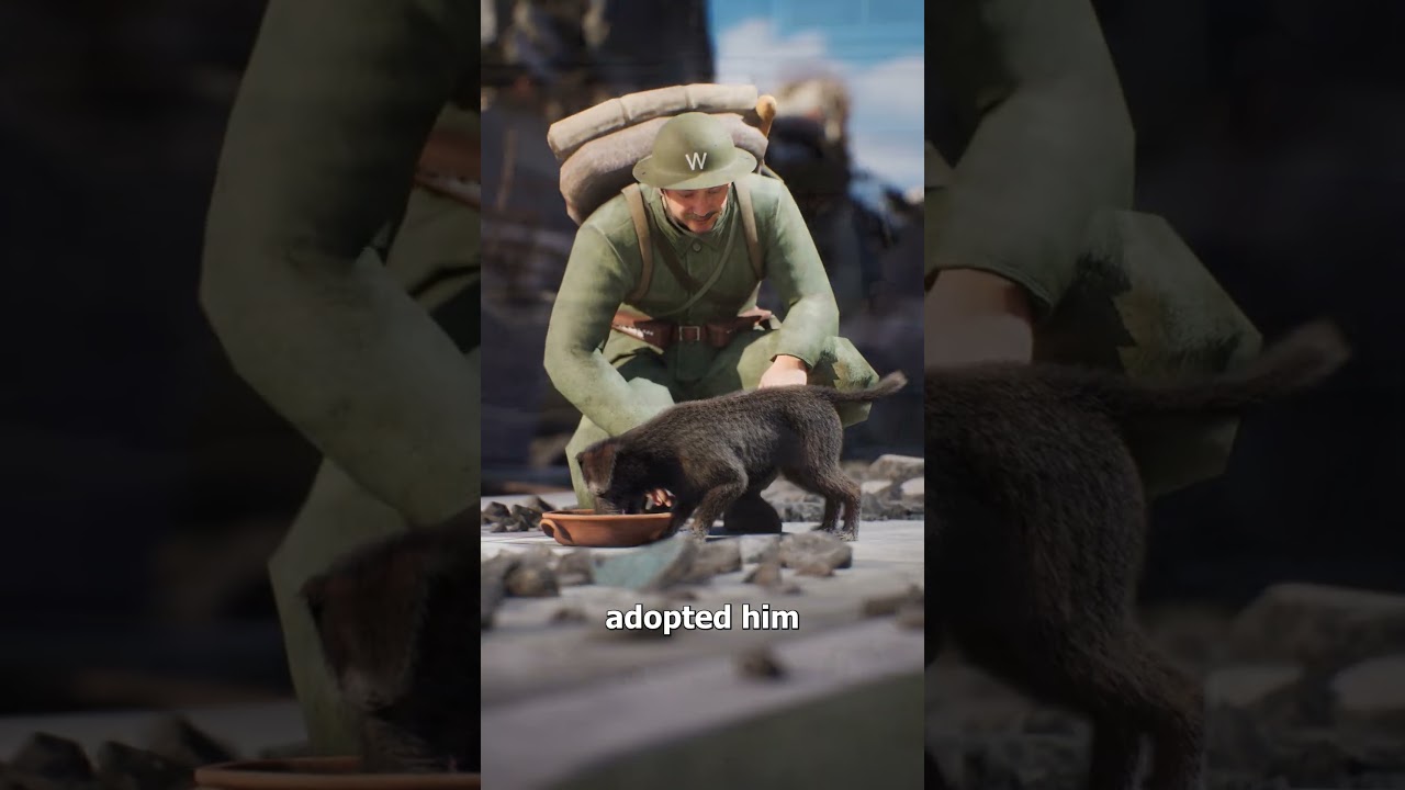 这只狗救了100多人-咕咕的工具箱