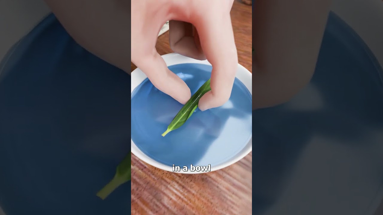 如何制作带针的指南针-咕咕的工具箱