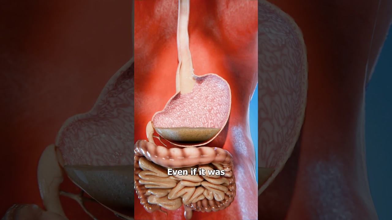 如果吞下曼妥思和可乐会发生什么？-咕咕的工具箱