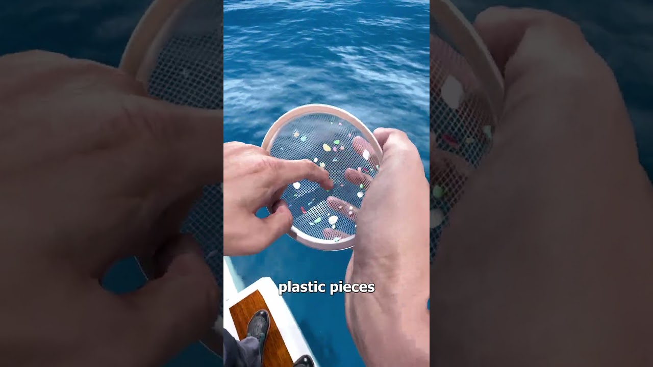 海洋塑料最终去了哪里-咕咕的工具箱