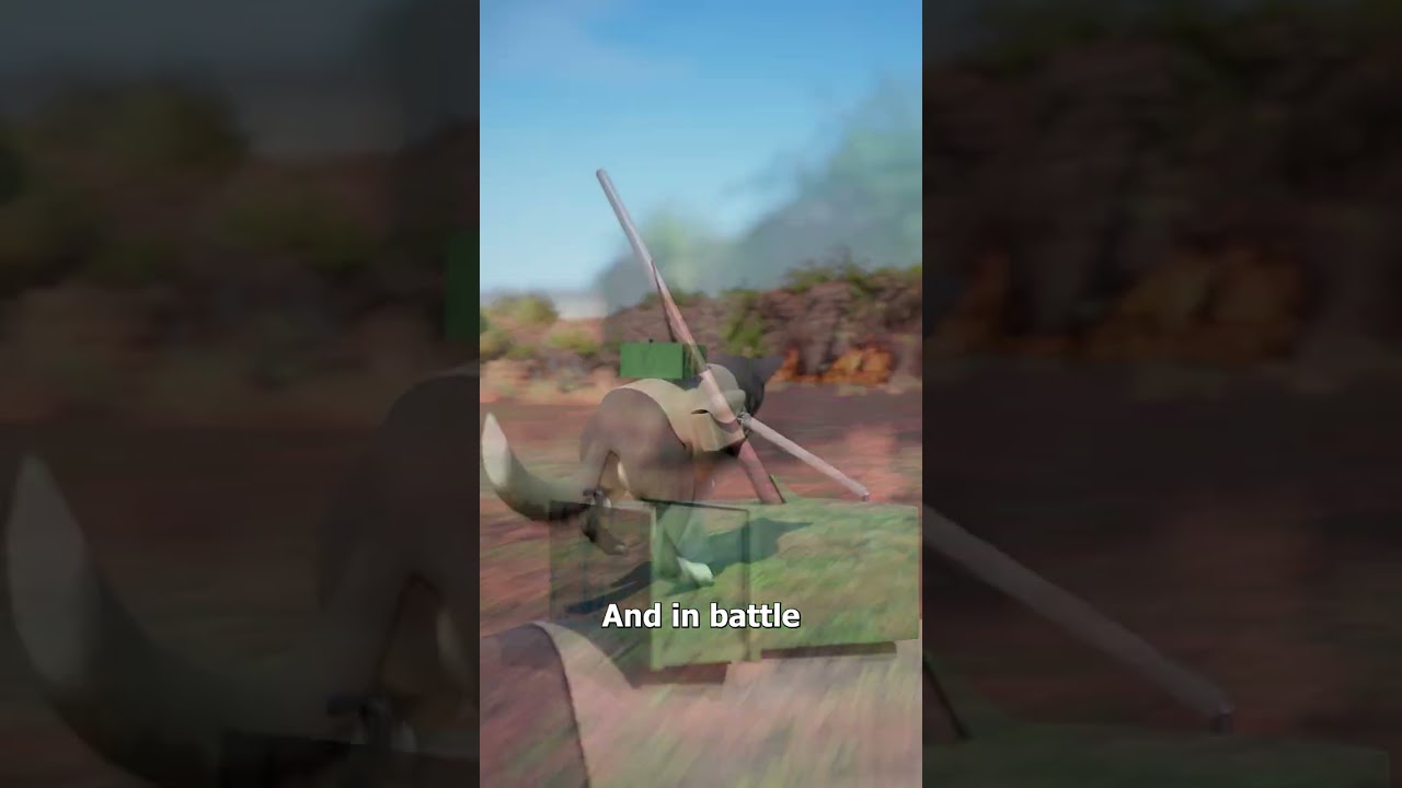 二战期间如何使用自杀犬-咕咕的工具箱