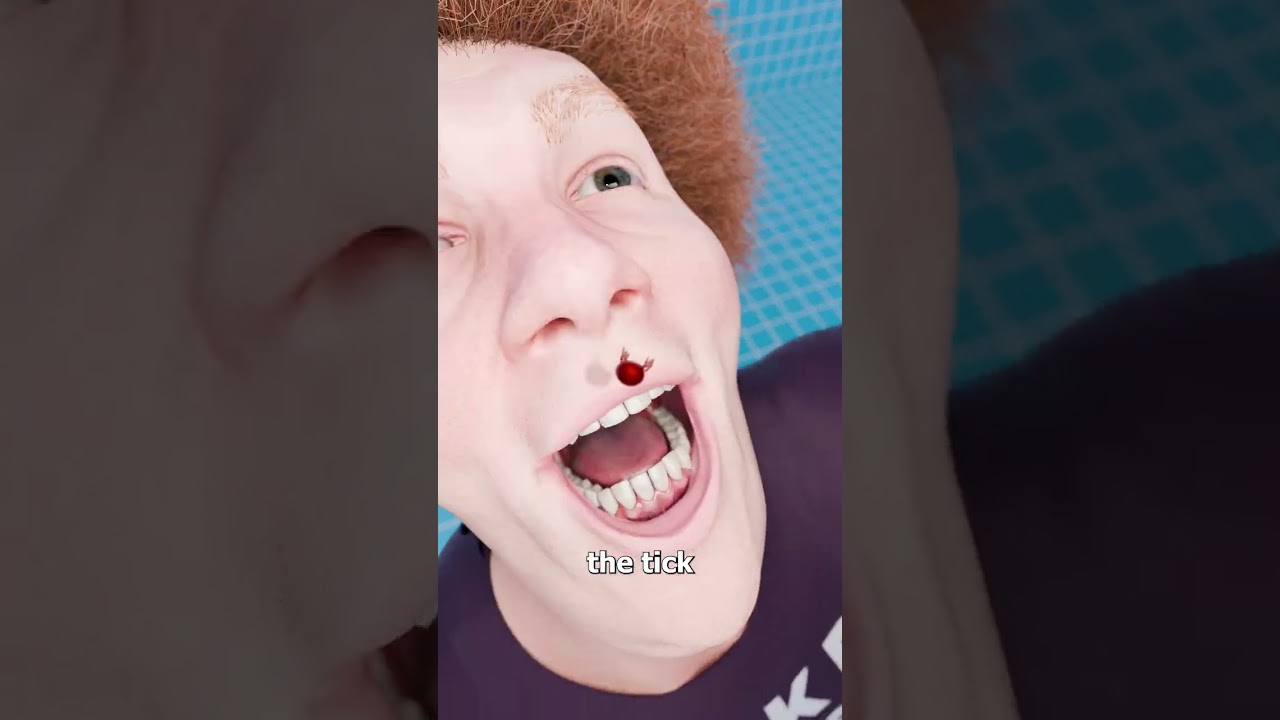 莱姆病患者会吞下蜱虫吗？-咕咕的工具箱