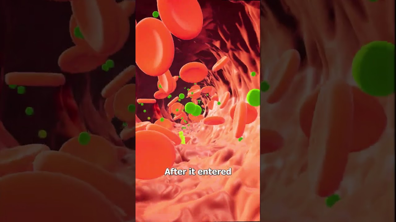 刺客伞的工作原理-咕咕的工具箱