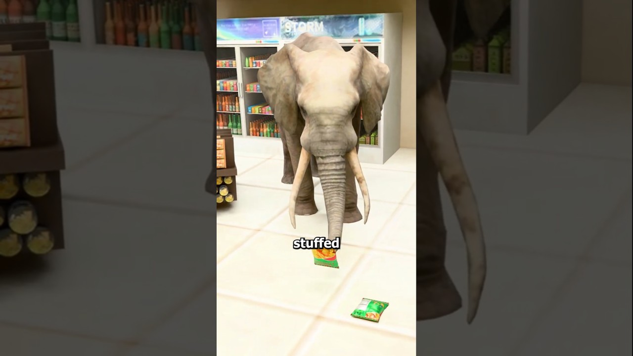 8000 磅重的大象袭击泰国杂货店-咕咕的工具箱