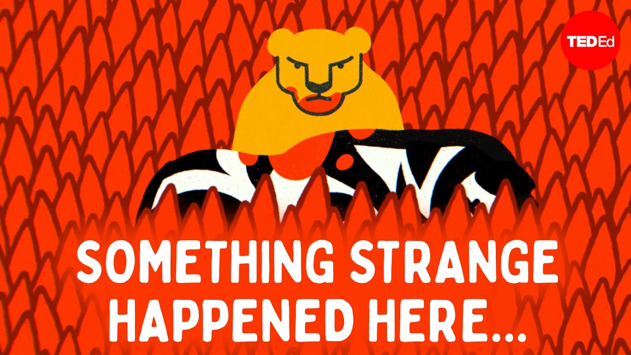 你能解开大草原之谜吗？-咕咕的工具箱