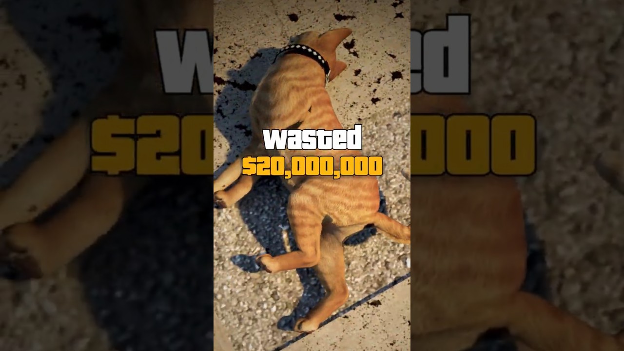 2000 万美元的项目瞬间浪费了-咕咕的工具箱