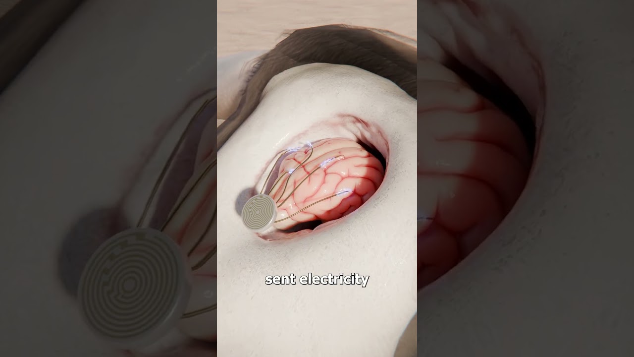 精神控制阻止了一头愤怒的公牛-咕咕的工具箱