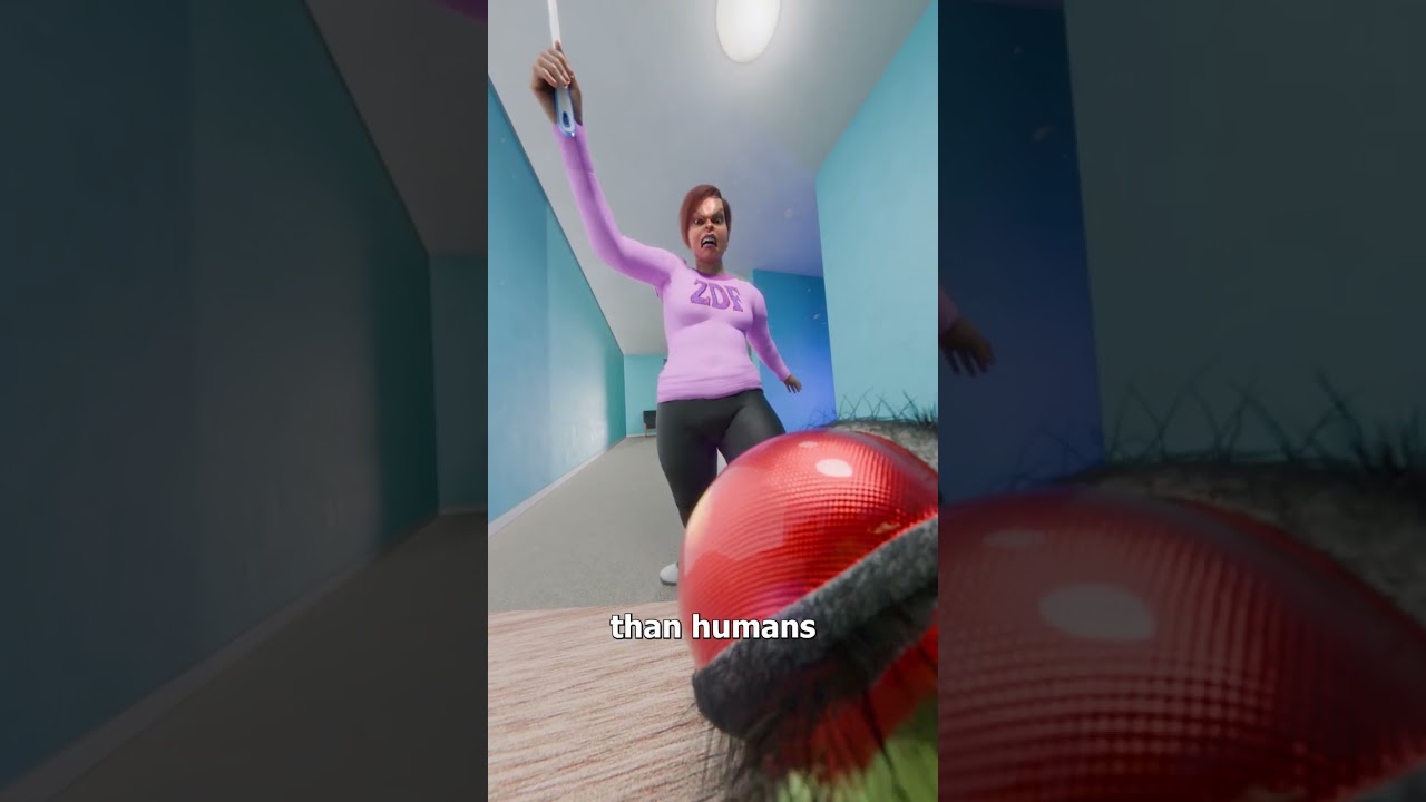 苍蝇能躲过子弹吗？-咕咕的工具箱