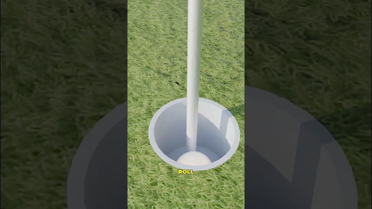 他因为一只苍蝇赢得了200万美元-咕咕的工具箱