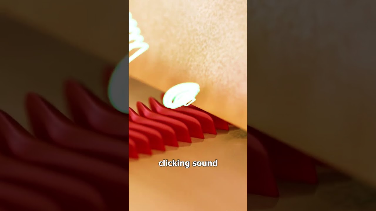 蟋蟀如何鸣叫-咕咕的工具箱