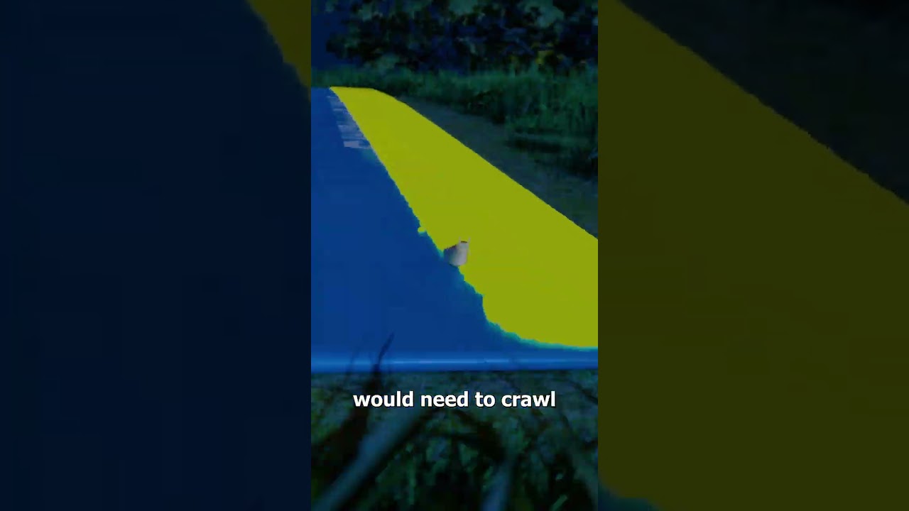 蛞蝓会滑倒吗？-咕咕的工具箱