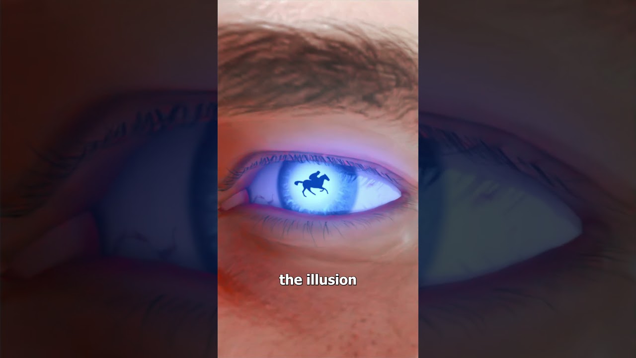 电影究竟是如何运作的-咕咕的工具箱