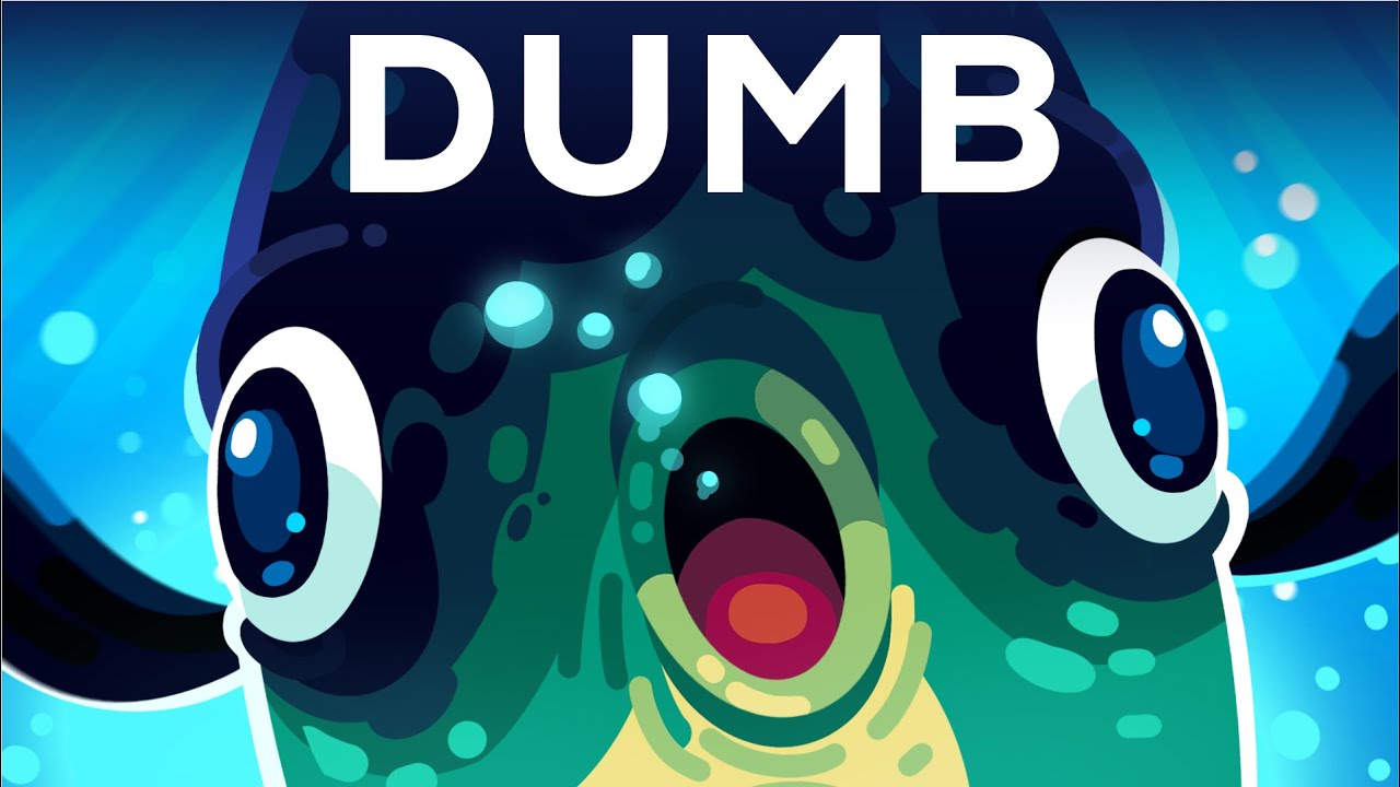 世界上最愚蠢的动物-咕咕的工具箱