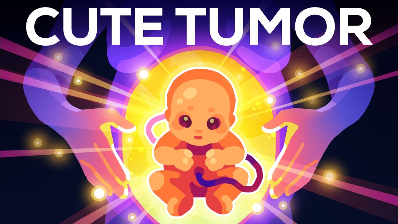 怀孕太疯狂-咕咕的工具箱