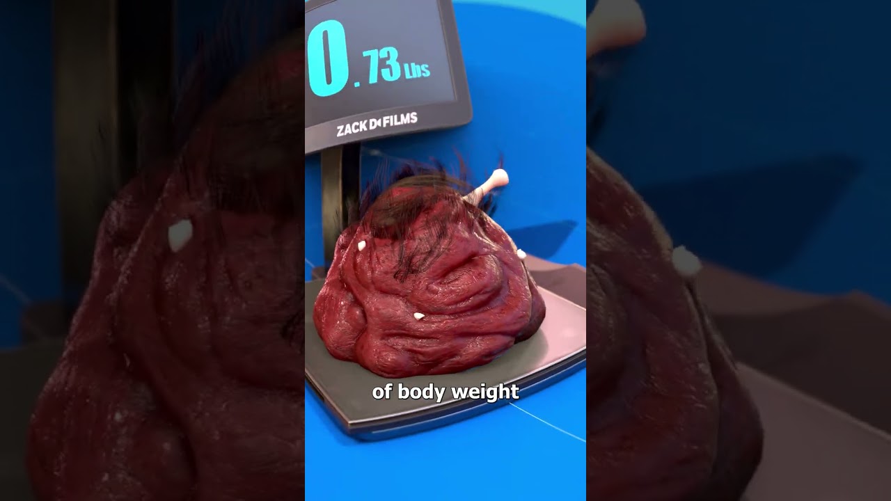 被蜜蜂蛰几次会致命？-咕咕的工具箱