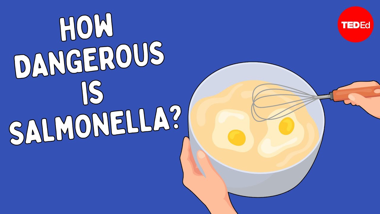 吃饼干面团真的那么糟糕吗？