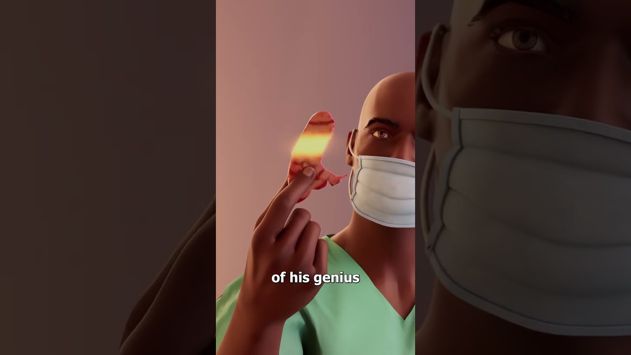 偷走爱因斯坦大脑的医生-咕咕的工具箱