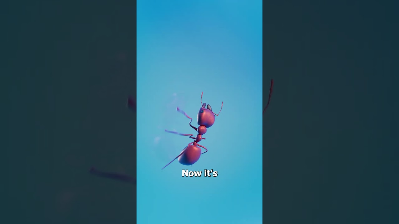 克莱因瓶的工作原理-咕咕的工具箱