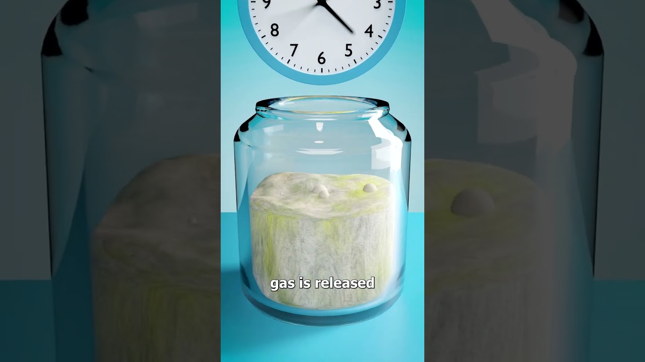 用身体里的酵母烤面包