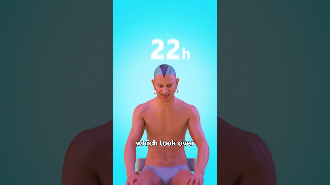 他把自己变成了一只蜥蜴-咕咕的工具箱