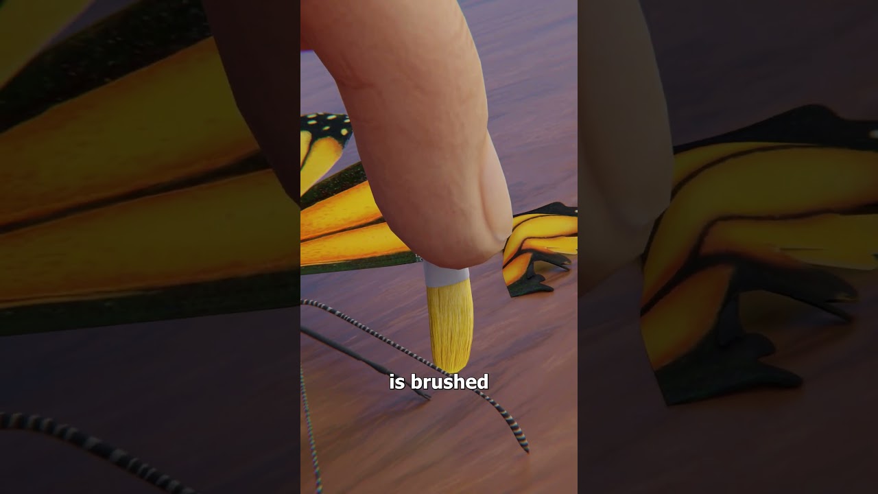 蝴蝶翅膀移植的原理-咕咕的工具箱