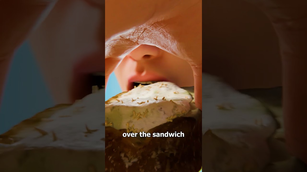 Casu Marzu 腐烂的蛆奶酪-咕咕的工具箱