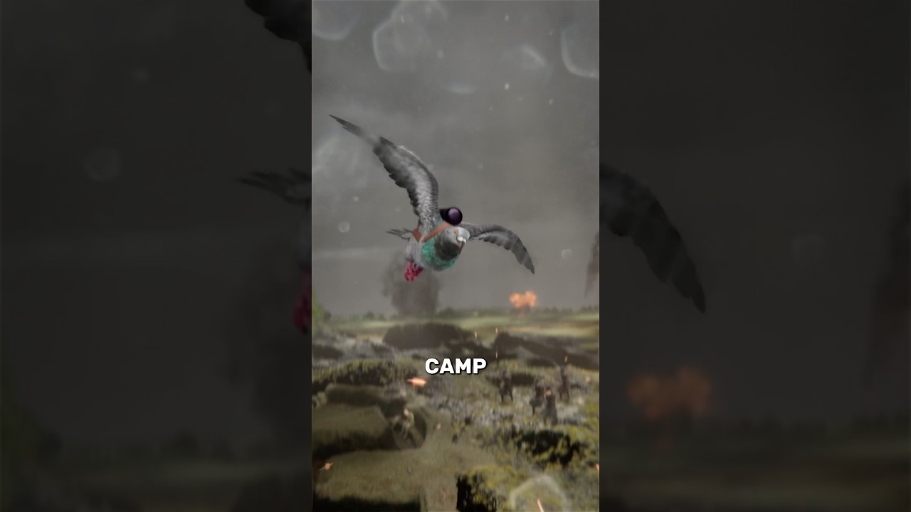 拯救整个小队的鸽子-咕咕的工具箱