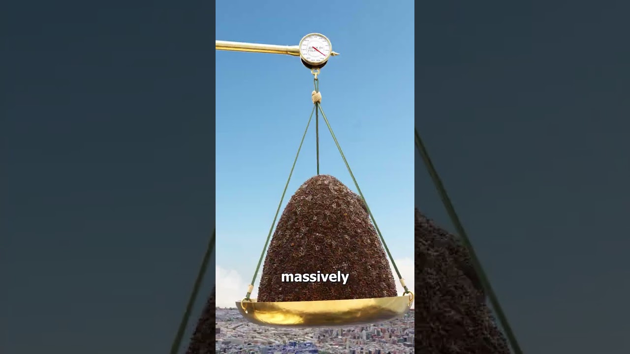 虫子和人类哪个更重？-咕咕的工具箱