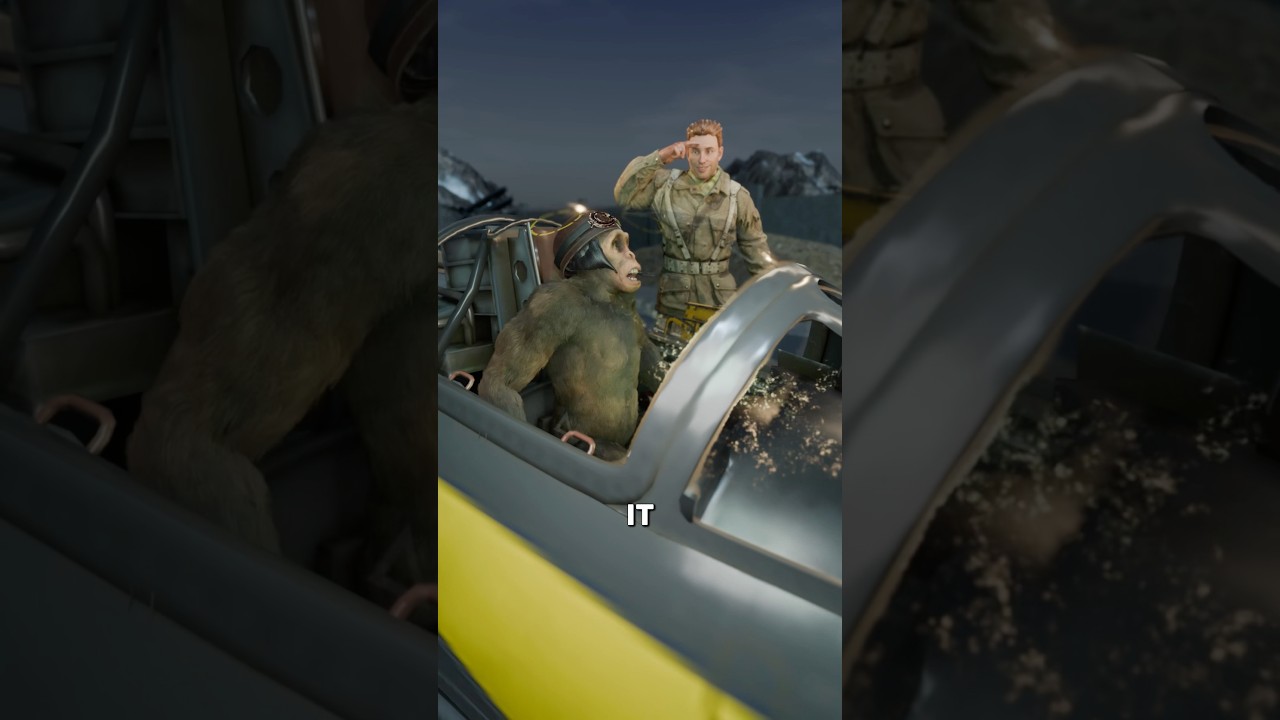 为什么空军要把猴子放进飞机里？-咕咕的工具箱