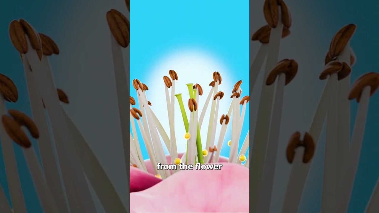 机器人蜜蜂为果树授粉-咕咕的工具箱